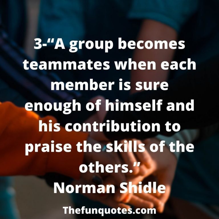 Top 30 Teamwork Quotes And Sayings - THEFUNQUOTES