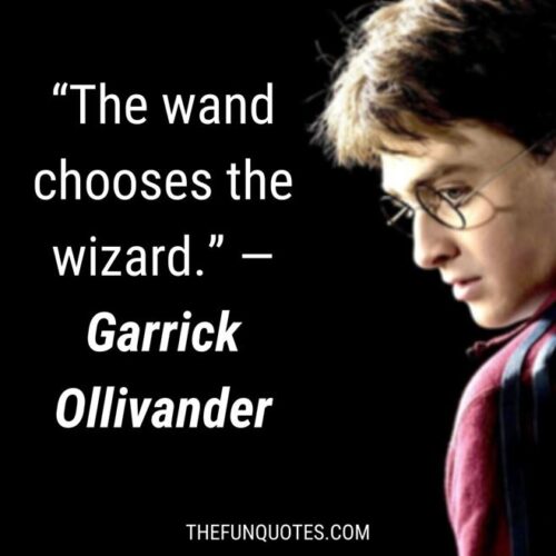 BEST TOP 30 HARRY POTTER QUOTES