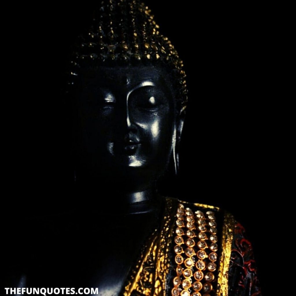 Buddha HD Wallpapers : Free Download 