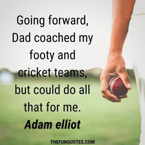 30 Best Motivational Cricket Quotes with Images 
