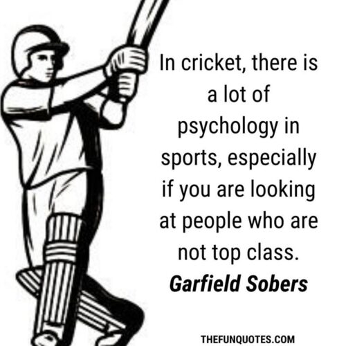 30 Best Motivational Cricket Quotes with Images 