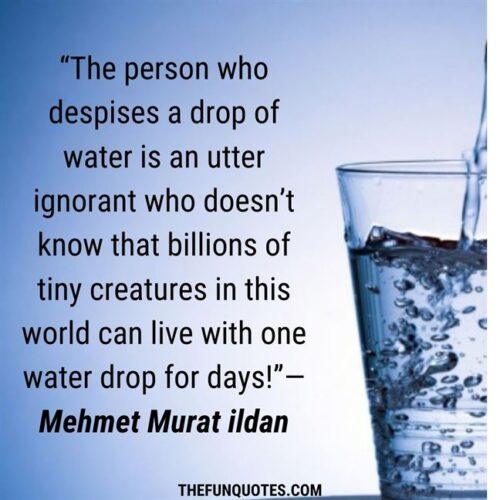 TOP 20 QUOTES ABOUT WATER