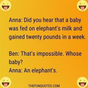 TOP 20 FUNNIEST JOKES - THEFUNQUOTES