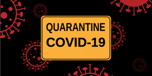 Read more about the article 20 Best Quarantine Quotes For COVID-19