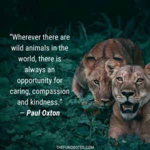 Wildlife Conservation Quotes | Wildlife Quotes | TOP 15 WILDLIFE QUOTES ...