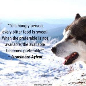 Hungry Sayings and Hungry Quotes | 20 Hilarious Quotes For People Who