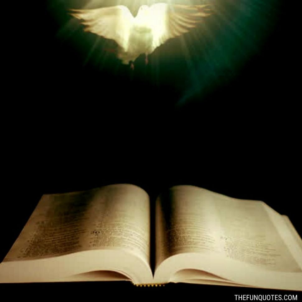 https://www.shutterstock.com/tr/video/clip-17508364-holy-bible-dove-peace-illuminated-by-beam