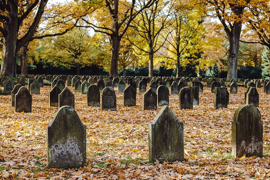 https://www.wallpaperflare.com/graveyard-in-ohlsdorf-h amburg-background-blurred-cemetery-wallpaper-azkqp