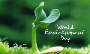 Read more about the article Environment Day Quotes In Malayalam   | World Environment Day Slogans | Malayalam quotes 2021