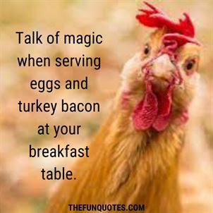 National Poultry Day Quotes : 10+ Messages