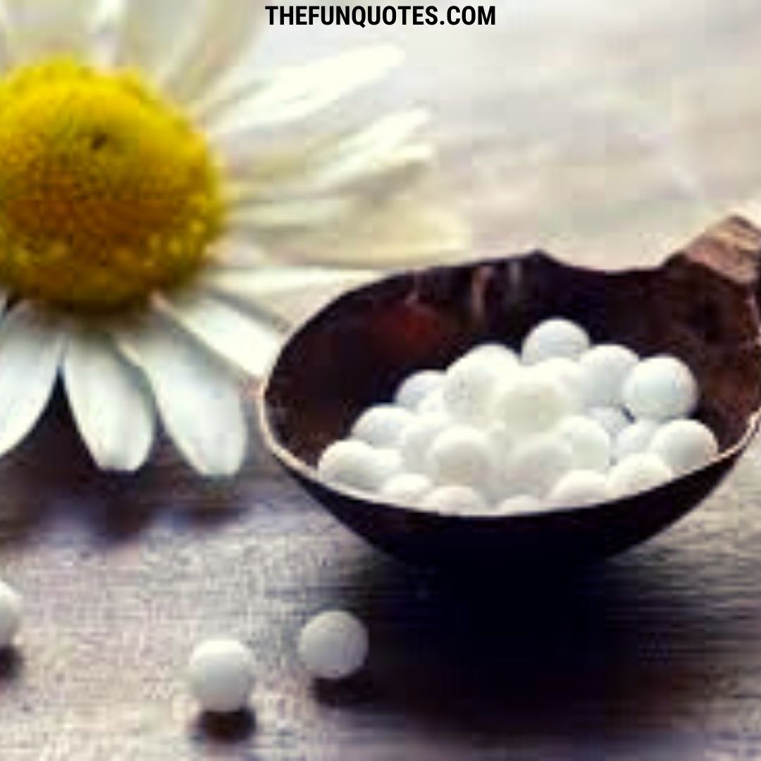 World Homeopathy Day Quotes 2021 | Top 15 Homeopathy Quotes | World ...