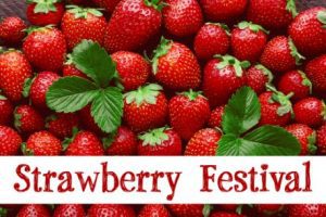 Read more about the article Strawberry Festival: 25+ Greetings Messages and Quotes | Strawberry Festival Captions And Quotes | Quotes about Strawberries | thefunquotes.com