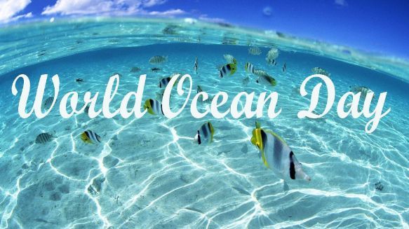 Read more about the article World Ocean Day Quotes : 10 + Great Quotes to Celebrate World Oceans Day | Top 16 World Oceans Day 2021: Quotes, Wishes and Messages | thefunquotes.com