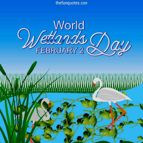 World Wetland Day: 20+ Messages Quotes and Greetings | Happy World ...