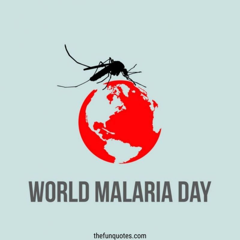 World Malaria Day: 20+ Messages Quotes And Greetings | World Malaria ...