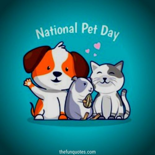 21 Funny Pet Memes & Pet Quotes For National Pet Day Happy National