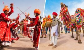 Wonderfull Quotes and Sayings About Camels | Bikaner Camel Festival: Inside India’s Festivals | Bikaner Camel Festival 2021 | Famous Camel Festival of Bikaner & Pushkar | thefunquotes.com