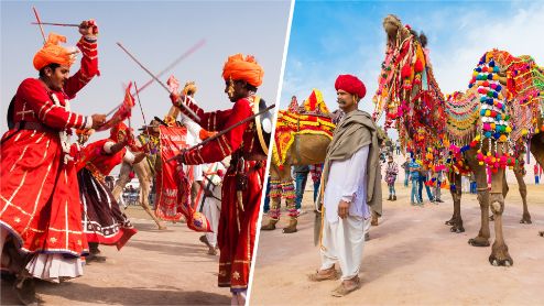 Read more about the article Wonderfull Quotes and Sayings About Camels | Bikaner Camel Festival: Inside India’s Festivals | Bikaner Camel Festival 2021 | Famous Camel Festival of Bikaner & Pushkar | thefunquotes.com